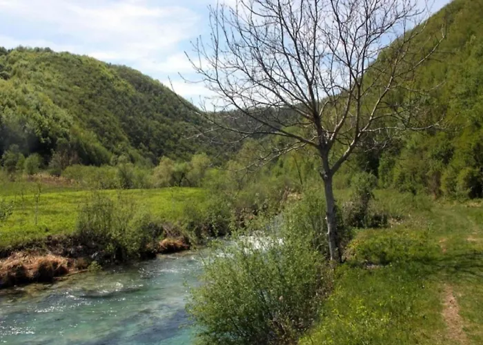 In Croatia By The Adriatic Coast Villa